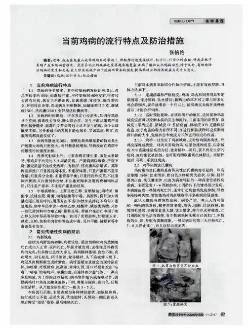 当前鸡病的流行特点及防治措施