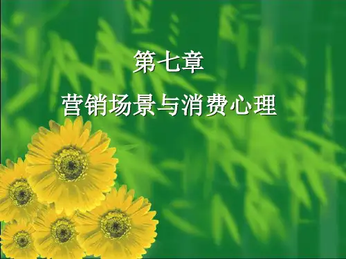 消费心理学第章ppt课件