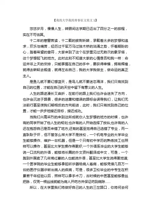 我的大学我的青春征文范文