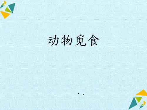 《动物觅食》PPT课件