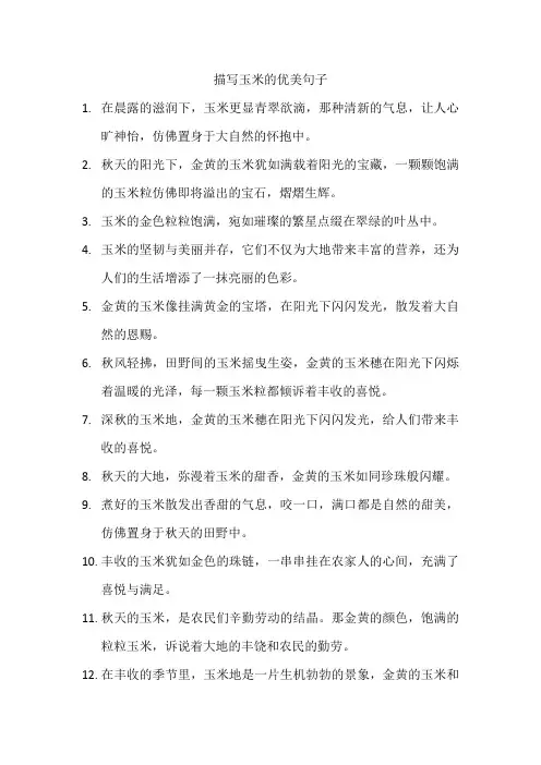 描写玉米的优美句子 (2)