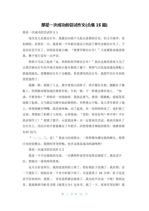那是一次成功的尝试作文(合集15篇)