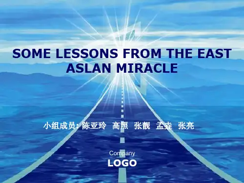 东亚奇迹的几点经验