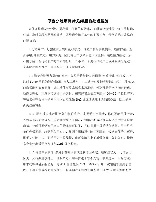 母猪分娩期间常见问题的处理措施