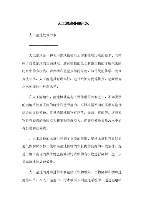 人工湿地处理污水