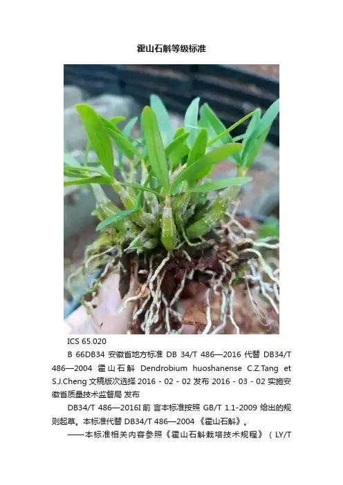 霍山石斛等级标准