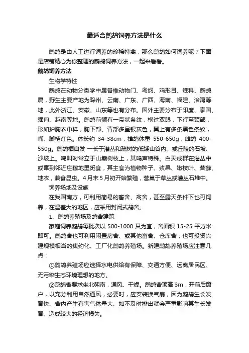 最适合鹧鸪饲养方法是什么