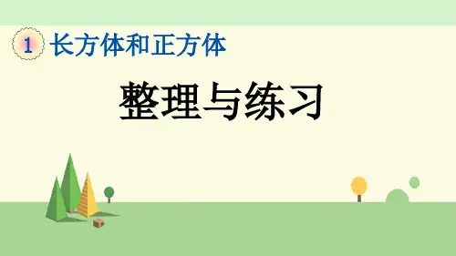 苏教版数学六年级上册    整理与练习