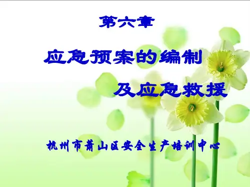 第六章应急预案编制及应急救援(教材