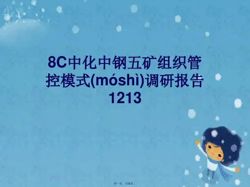 8C中化中钢五矿组织管控模式调研报告1213