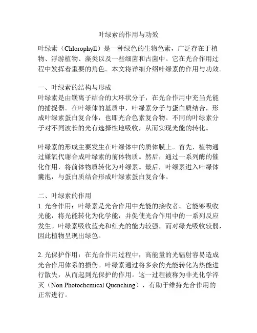 叶绿素的作用与功效