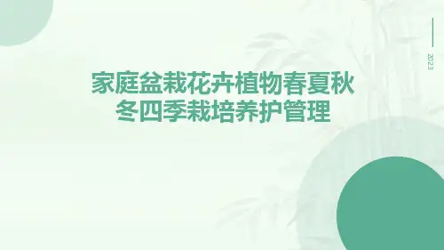 家庭盆栽花卉植物春夏秋冬四季栽培养护管理