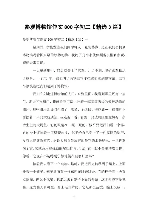 参观博物馆作文800字初二【精选3篇】
