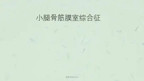 筋膜间室综合征课件