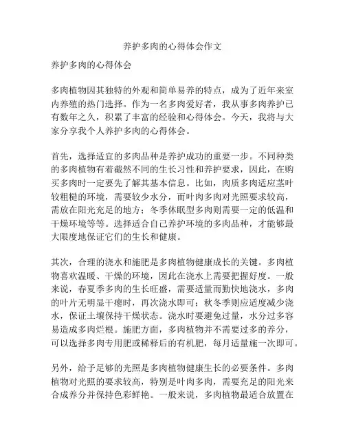 养护多肉的心得体会作文