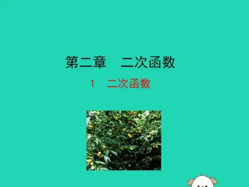 九年级数学下册 第二章 二次函数 1 二次函数教学课件 (新版)北师大版