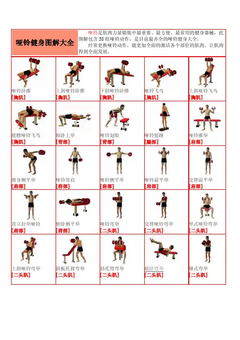哑铃健身图解大全(38组)