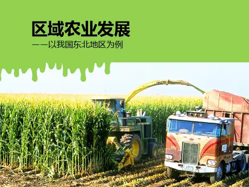 区域农业发展-PPT课件