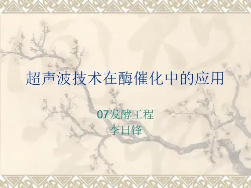 超声波在酶催化中的应用