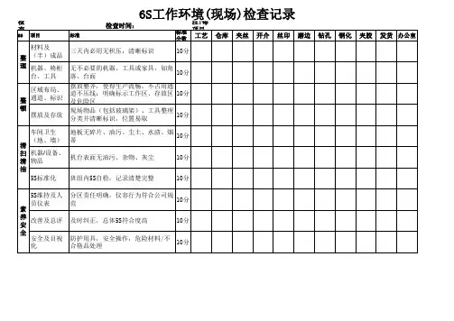 6S标准及检查表