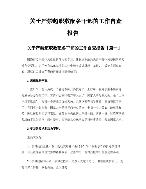 关于严禁超职数配备干部的工作自查报告