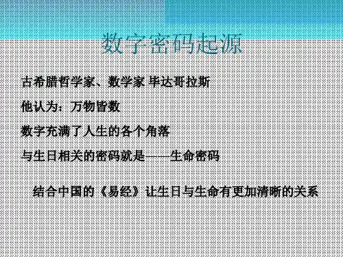生命密码简介
