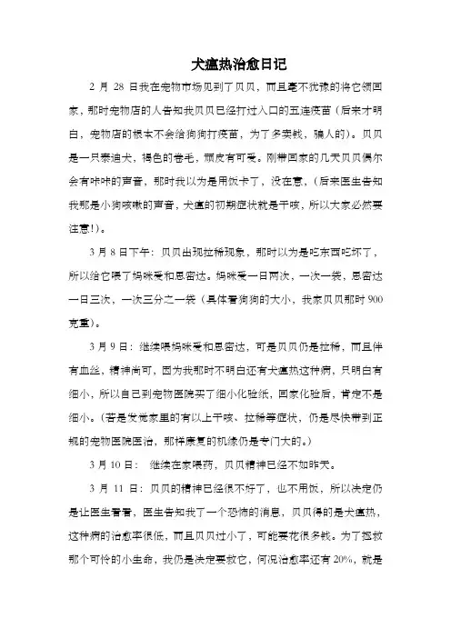 犬瘟热治愈日记