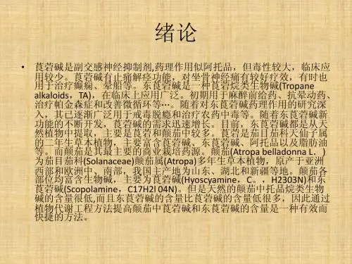 绪论