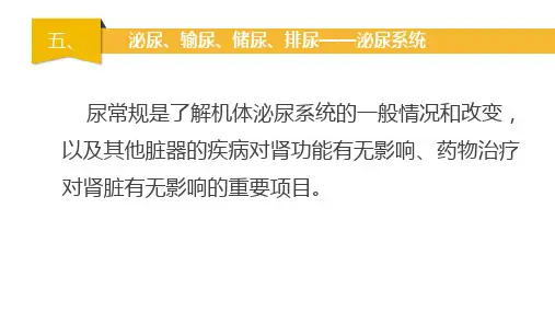 学前儿童的泌尿系统、感觉器官 与内分泌系统。