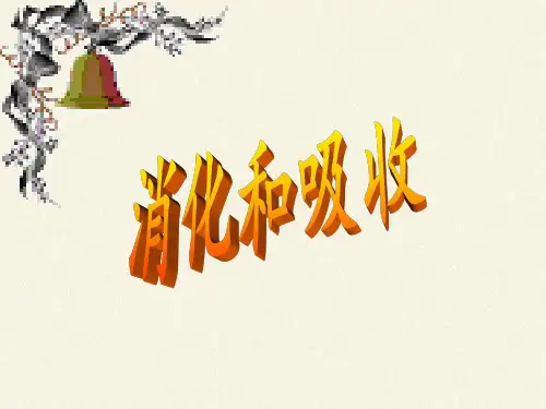 北师大版初中生物七年级下册课件-4.8.2 食物的消化和营养物质的吸收13