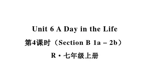 Unit6 A day in the life(Section B)人教版(2024)七年级英语上册