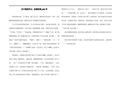 关于我的作文：执着的我_800字