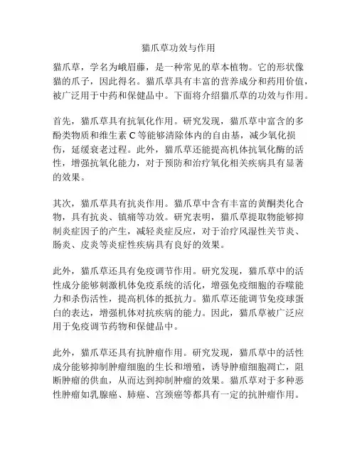 猫爪草功效与作用