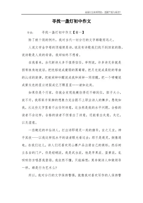 寻找一盏灯初中作文