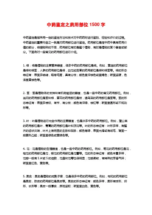 中药鉴定之药用部位
