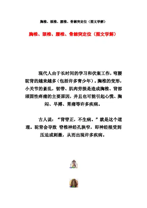 【胸椎等图解】