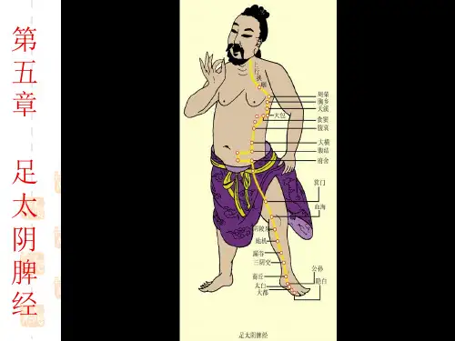 第五章 足太阴脾经 PPT课件