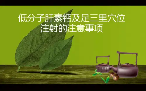 低分子肝素的使用及注意事项PPT精选课件