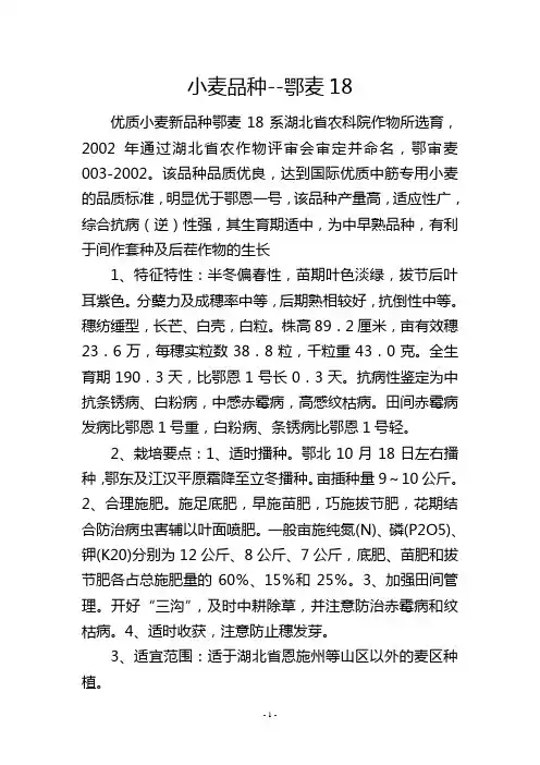 小麦品种鄂麦18