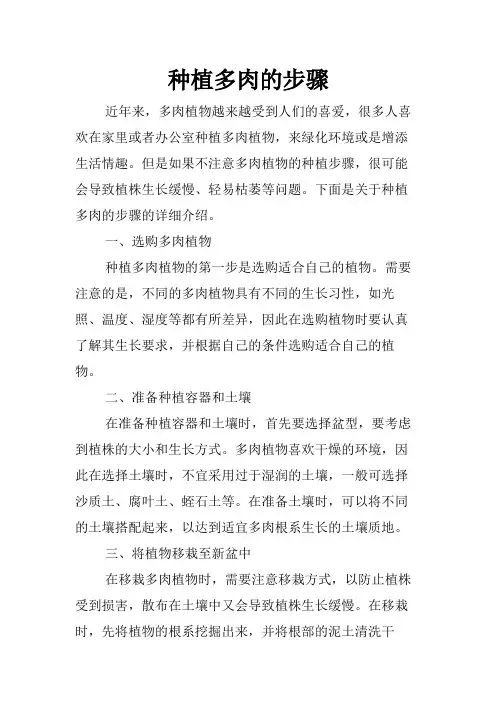 种植多肉的步骤