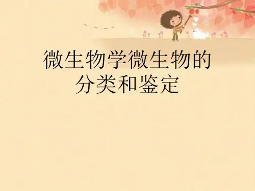 微生物学微生物的分类和鉴定【可编辑PPT】