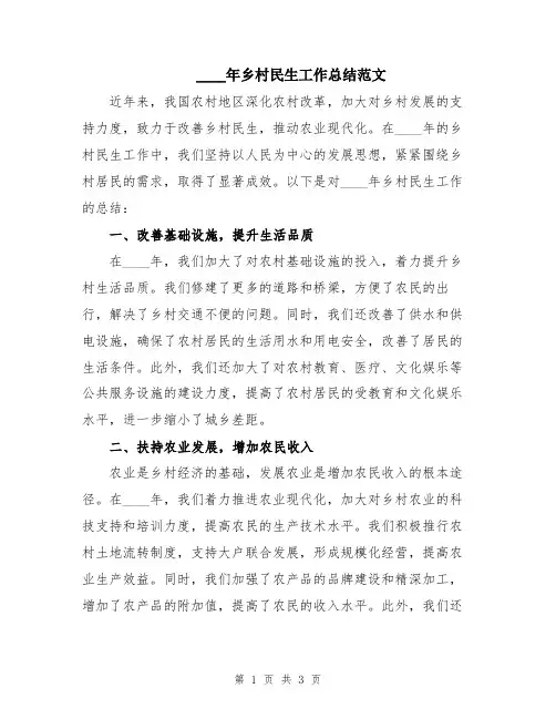 2024年乡村民生工作总结范文