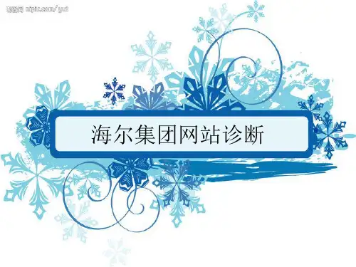 海尔集团网站诊断