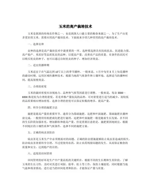 玉米的高产栽培技术
