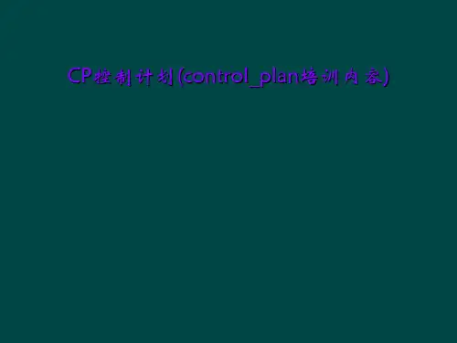 CP控制计划(control_plan培训内容)