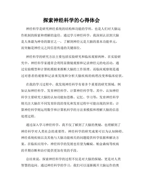 探索神经科学的心得体会