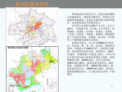 新洲区城中村及旧城改造项目推介 PPT课件