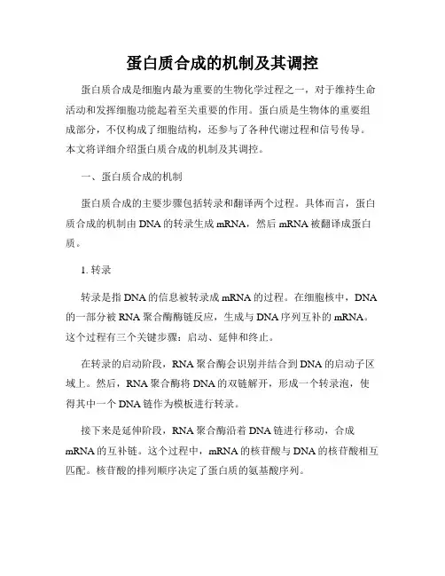 蛋白质合成的机制及其调控