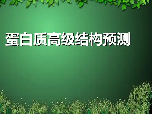 蛋白质结构预测