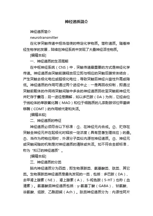 神经递质简介